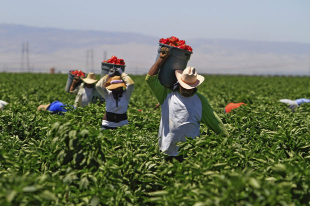 Business, labor are odd allies on immigration